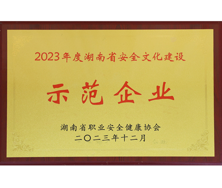 湖南省安全文化建設(shè)示范企業(yè)