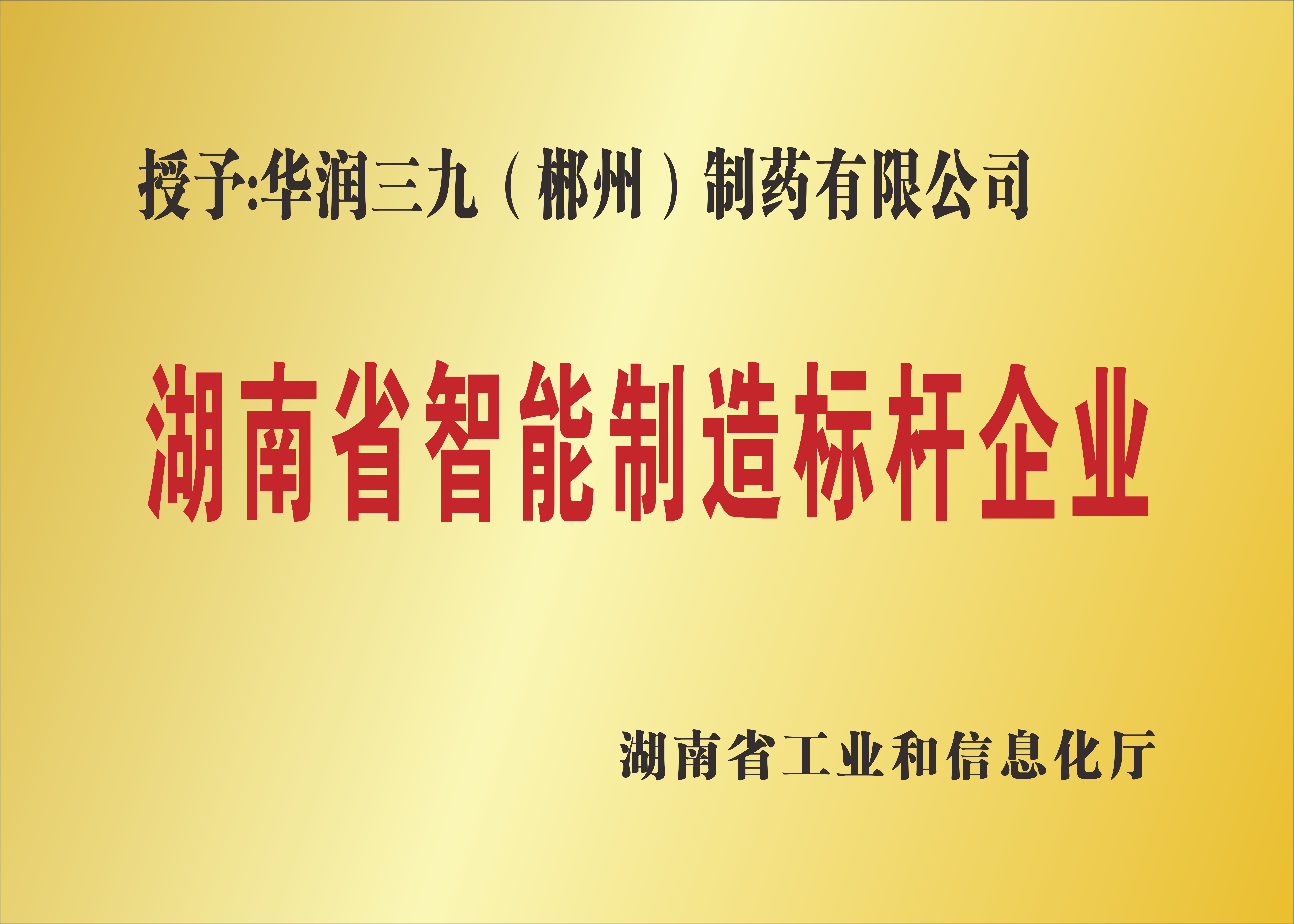 湖南省智能制造標(biāo)桿企業(yè).jpg