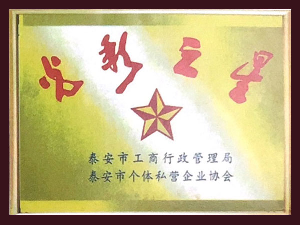 資質(zhì)榮譽