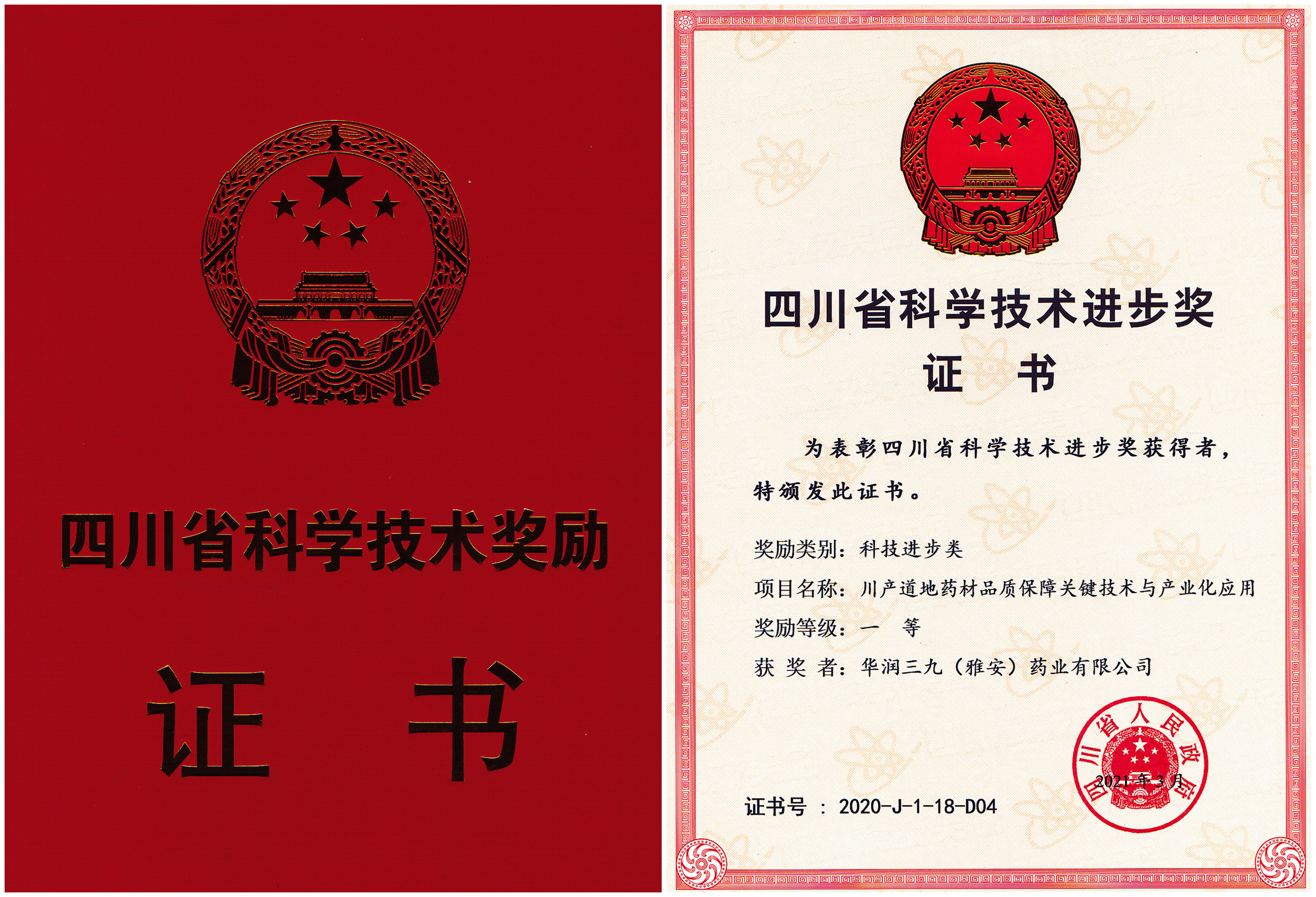 四川省科技進(jìn)步一等獎(jiǎng)-2021年